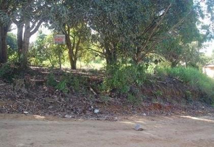 LOTE BAIRRO DIREÇÃO 